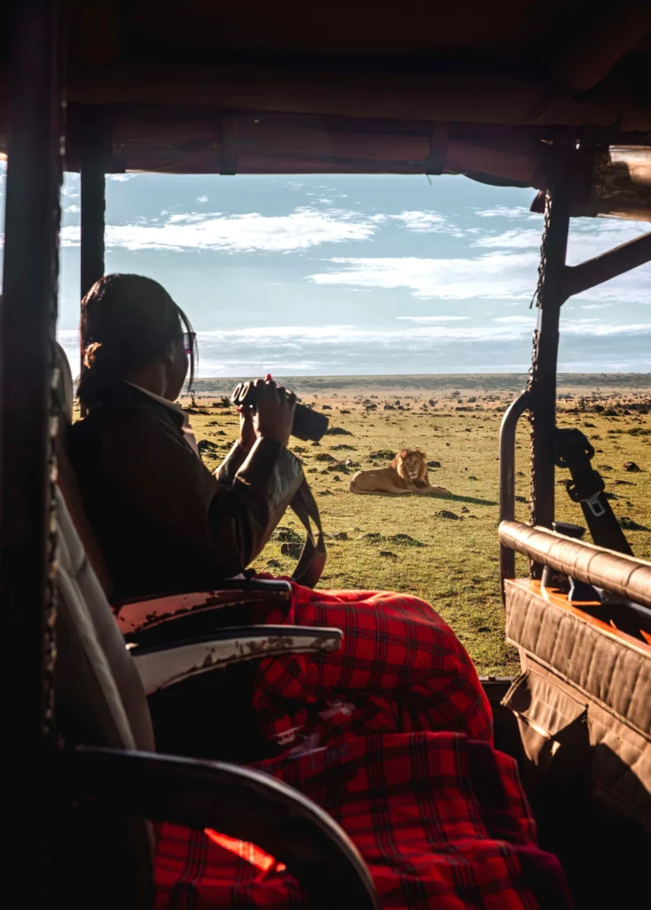 a person sitting in a vehicle looking at a lion lying down