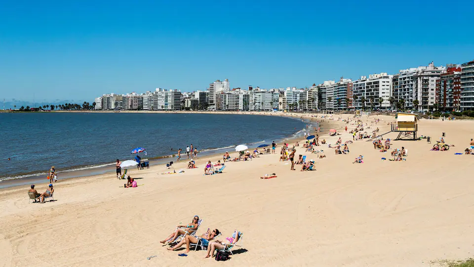a group of people on a beach
