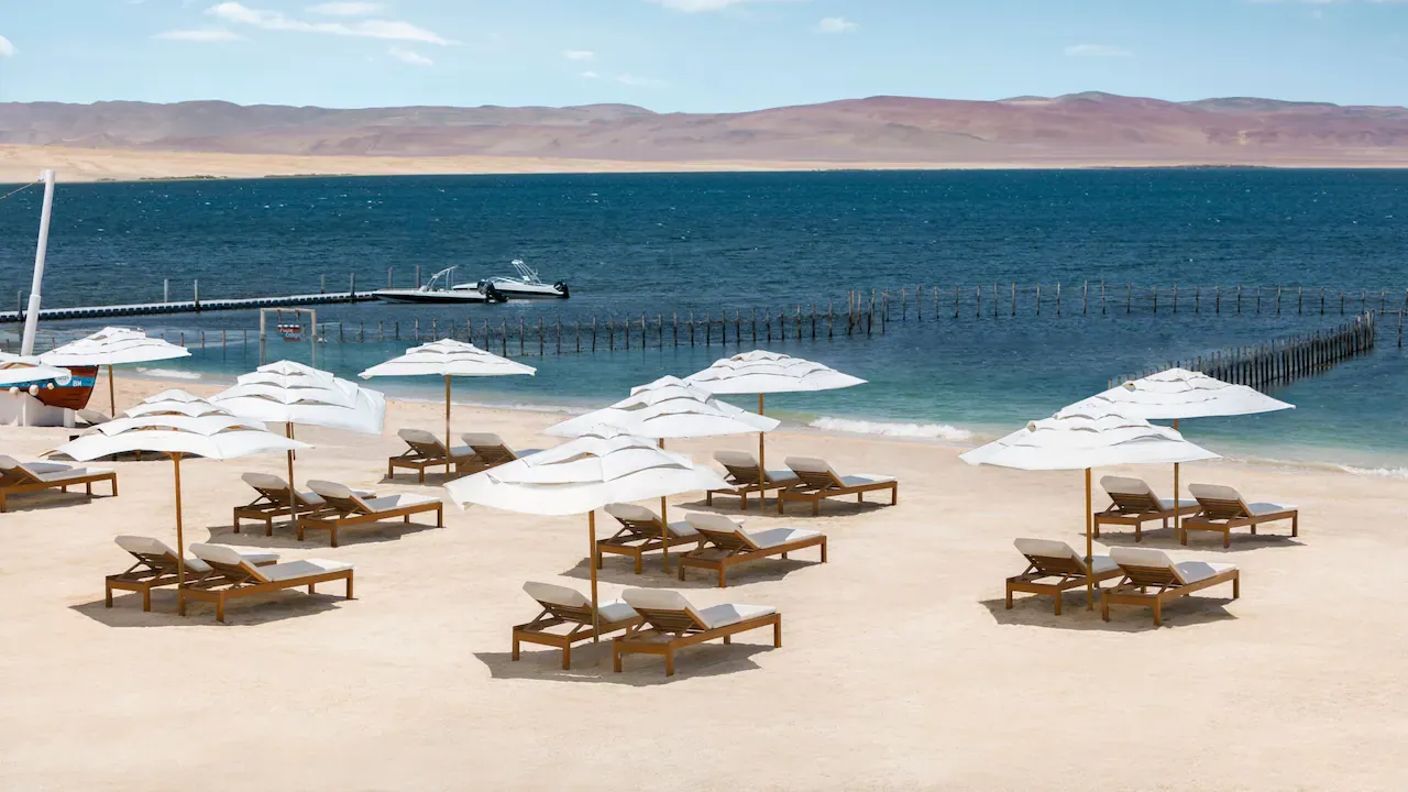 a beach with chairs and umbrellas