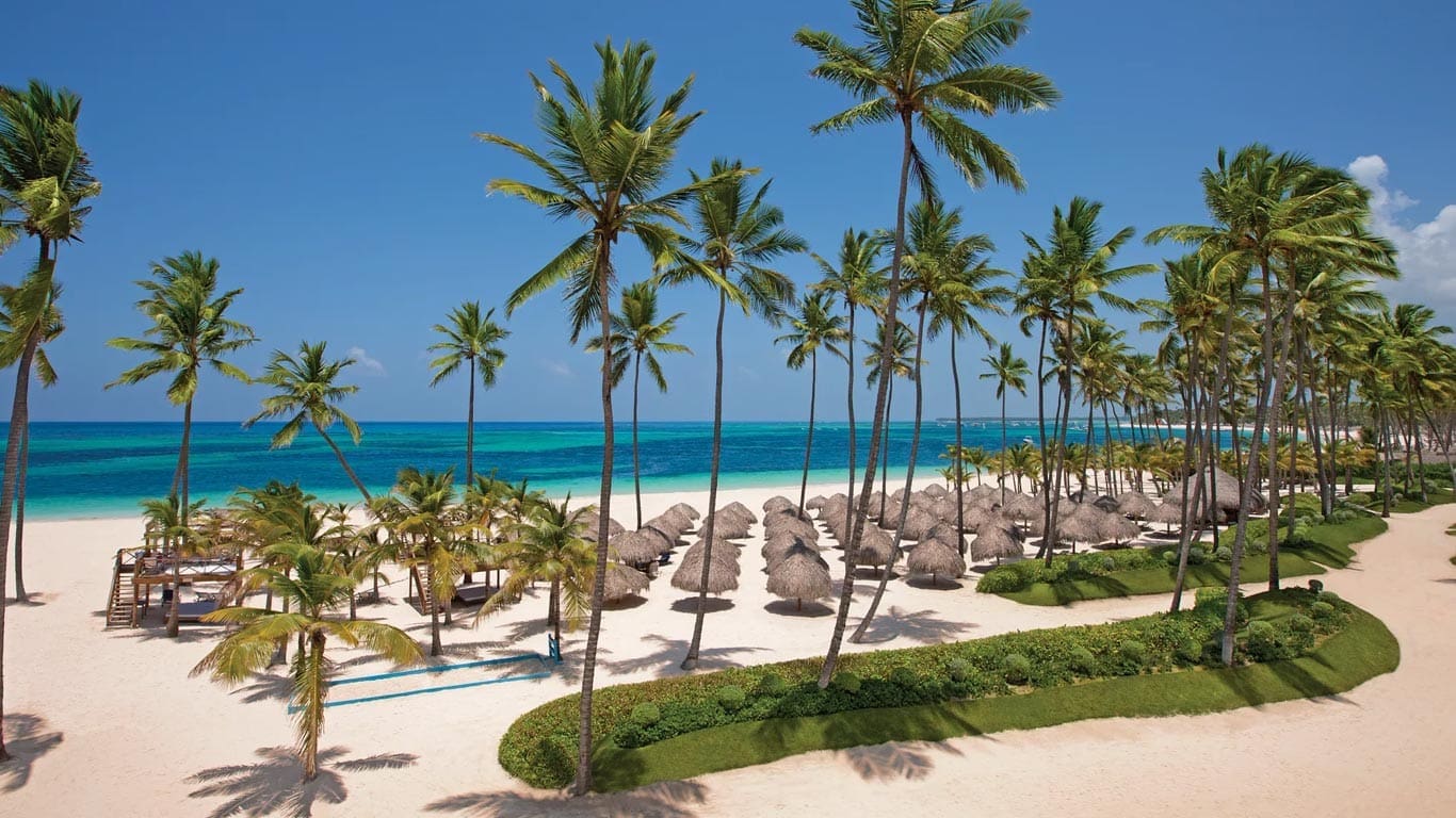 a beach with palm trees and straw umbrellas