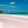 a beach with pink sand and blue water