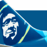 a blue tail fin with a face on it