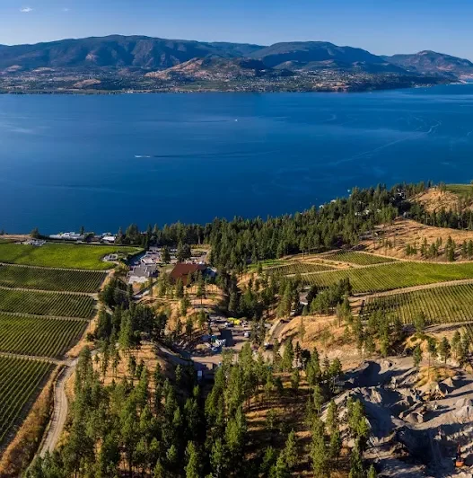 a aerial view of a lake and land with trees