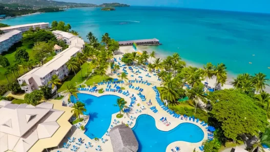a swimming pool with palm trees and a beach