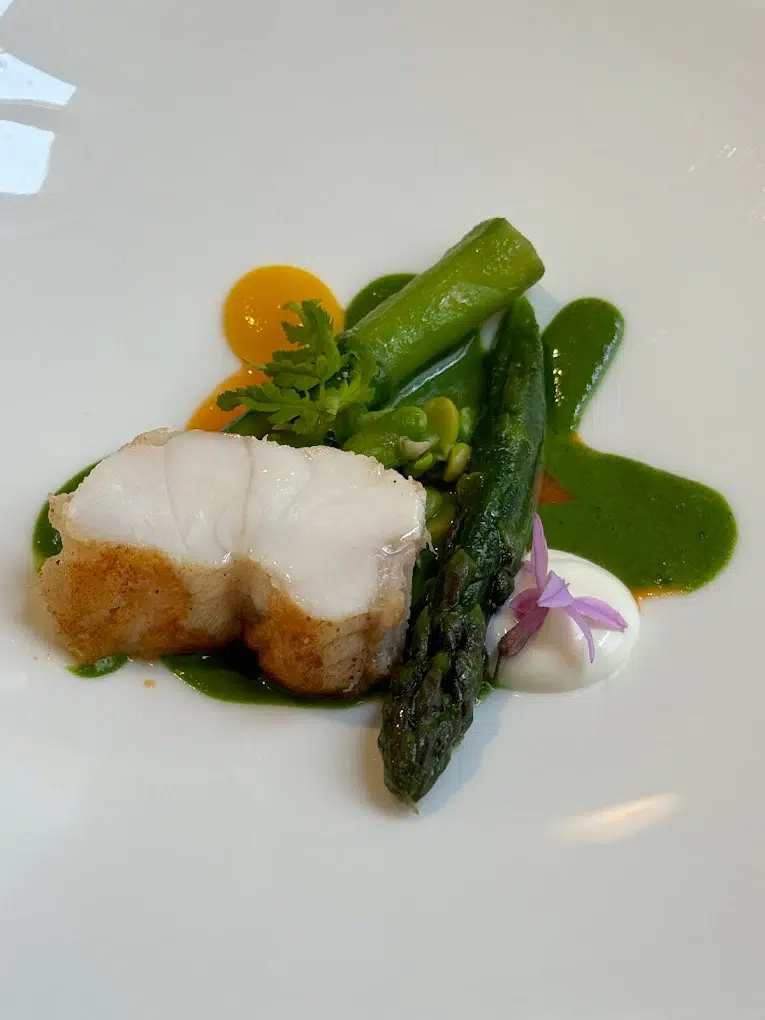 a plate of food on a plate