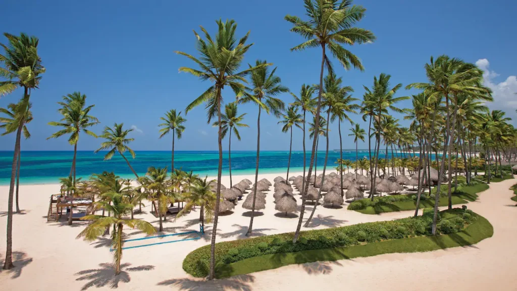 a beach with palm trees and umbrellas