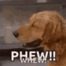 a dog with its eyes closed